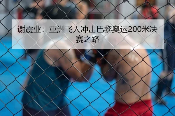 谢震业：亚洲飞人冲击巴黎奥运200米决赛之路